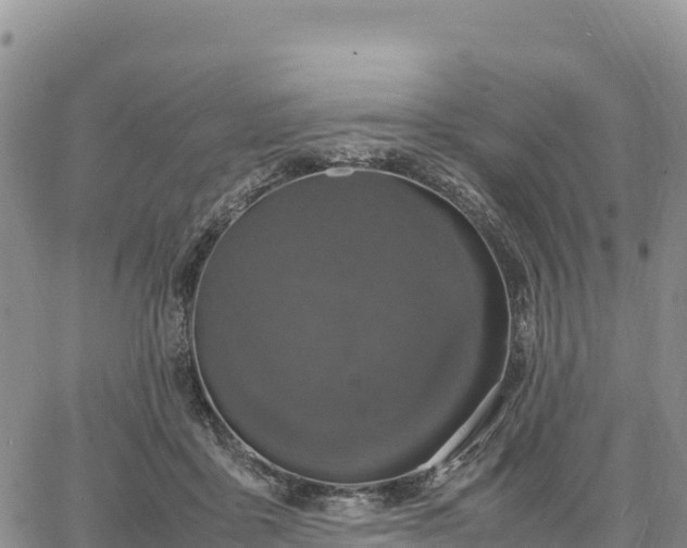 X0000064770411200602171830