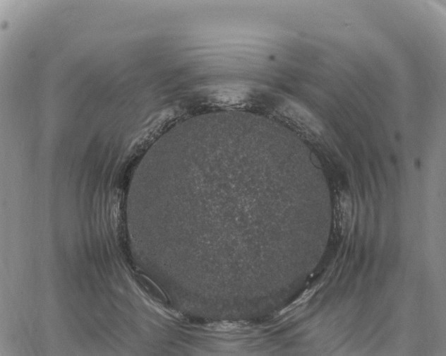 X0000064770412200602171830