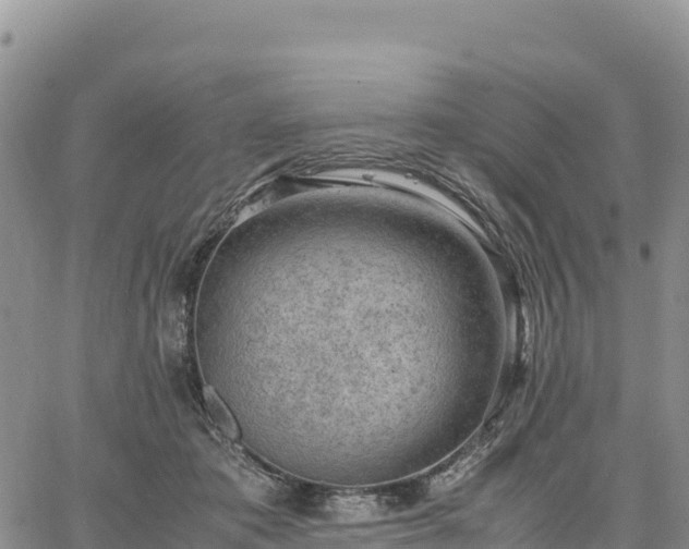 X0000064770413200602171830