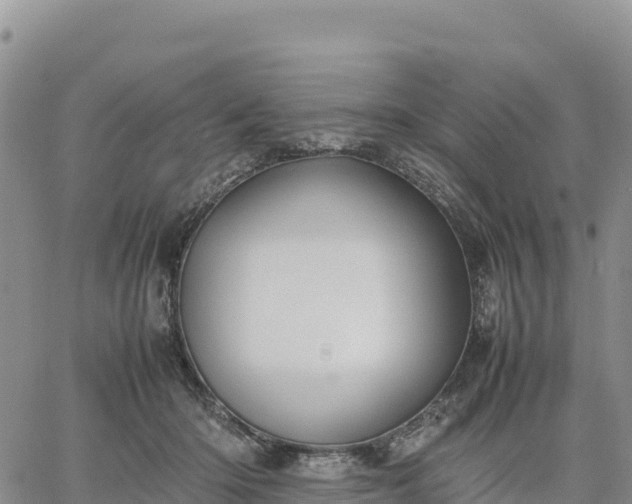 X0000064770414200602171830