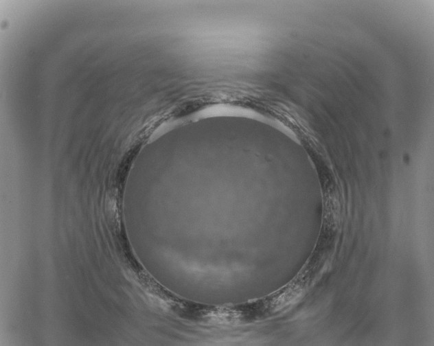 X0000064770415200602171829