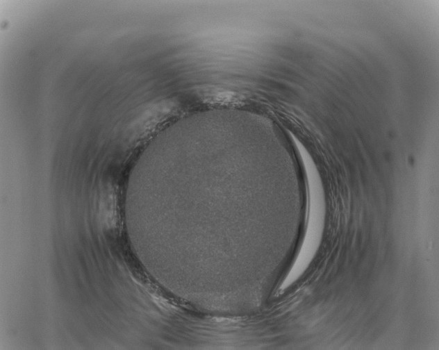 X0000064770416200602171829