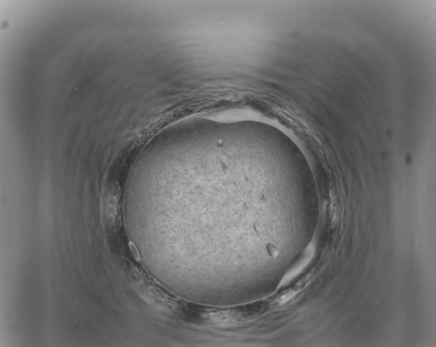 X0000064770417200602171829