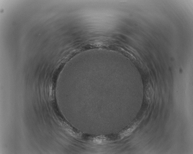 X0000064770420200602171829