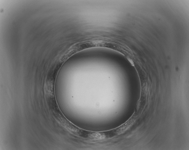 X0000064770421200602171829