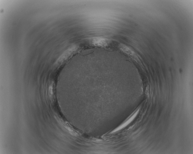 X0000064770424200602171829