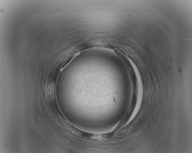 X0000064770425200602171829