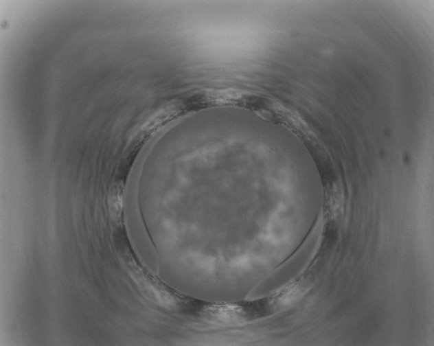 X0000064770427200602171829