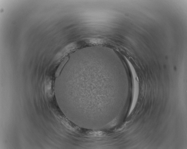 X0000064770428200602171829