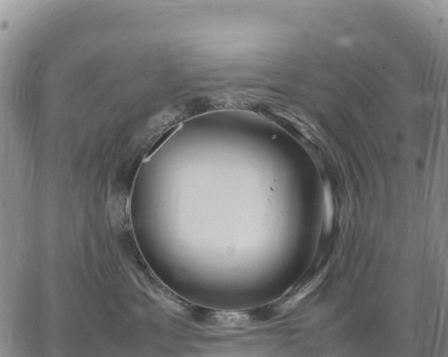 X0000064770429200602171829