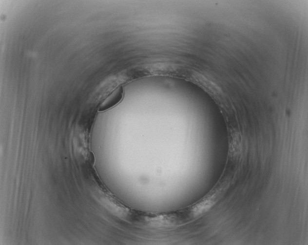 X0000064770430200602171829