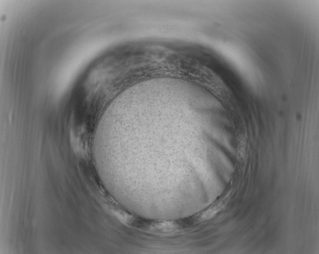 X0000064770431200602171829