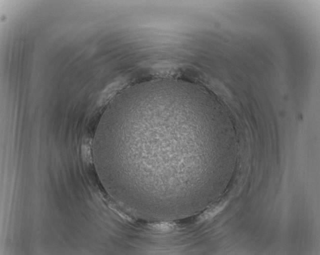 X0000064770432200602171829