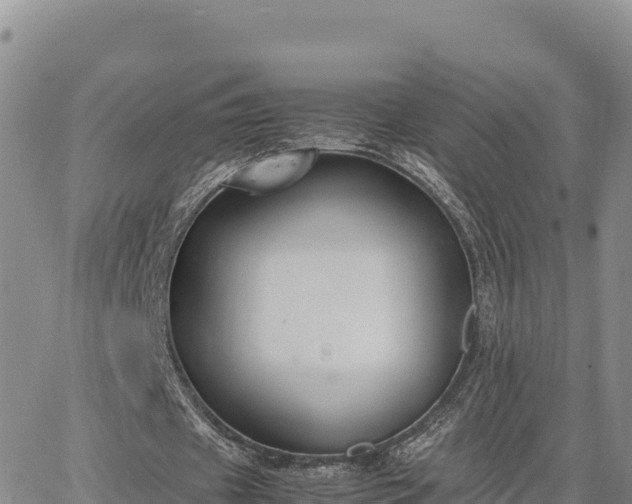 X0000064770433200602171828