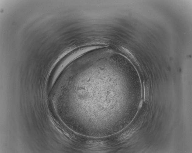 X0000064770435200602171828