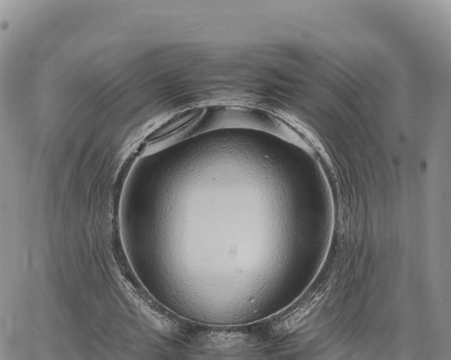 X0000064770437200602171828