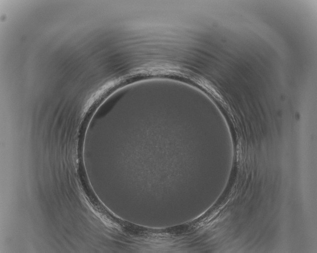 X0000064770438200602171829