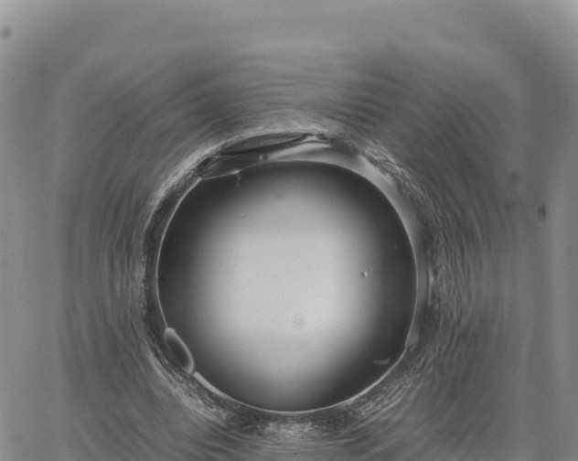 X0000064770440200602171829