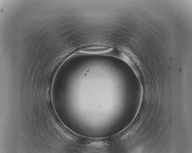 X0000064770441200602171829