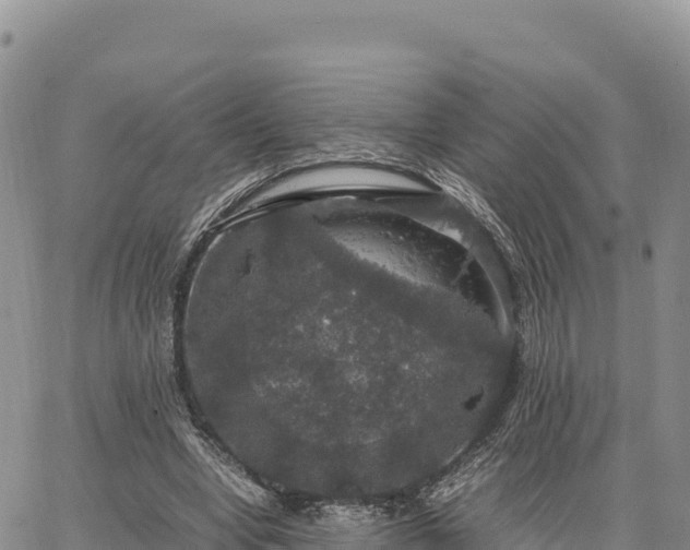 X0000064770442200602171829