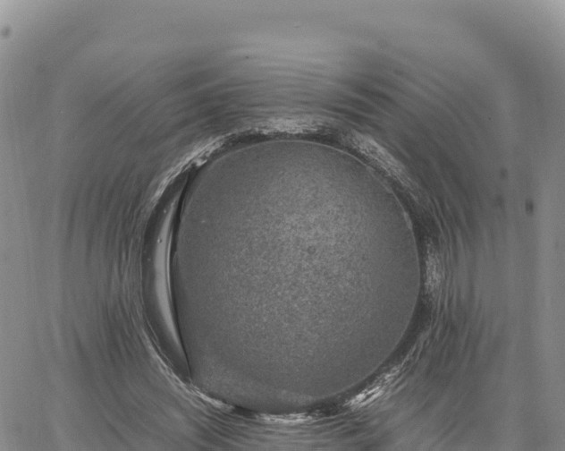 X0000064770444200602171829