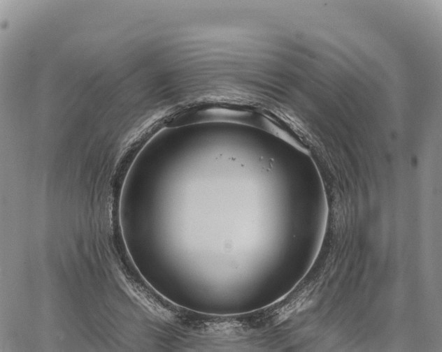 X0000064770446200602171829