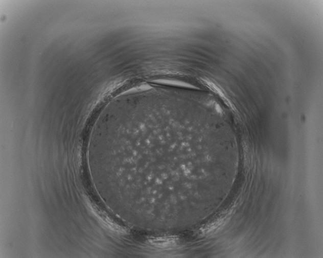 X0000064770447200602171829