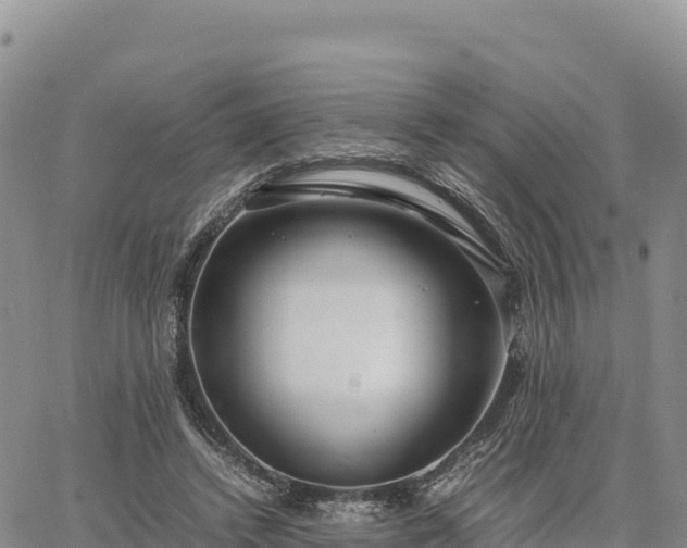 X0000064770448200602171829