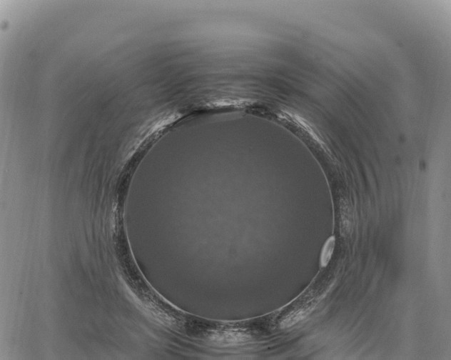 X0000064770451200602171829