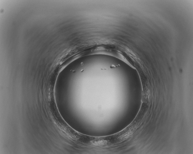 X0000064770452200602171829