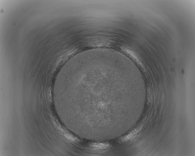 X0000064770453200602171829