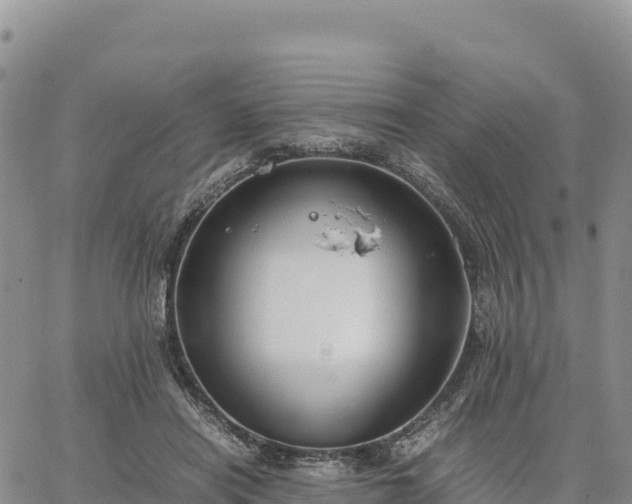 X0000064770454200602171829