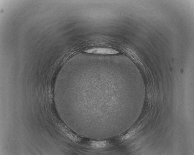 X0000064770457200602171829