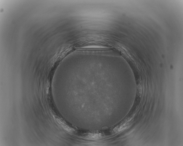 X0000064770458200602171829