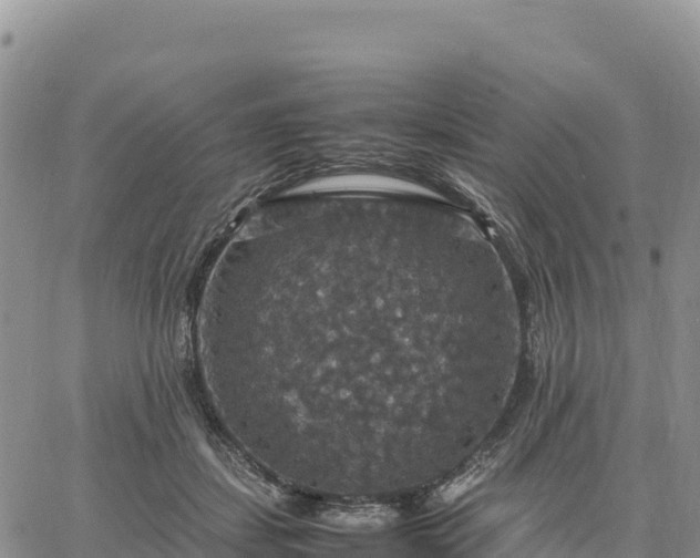 X0000064770459200602171829