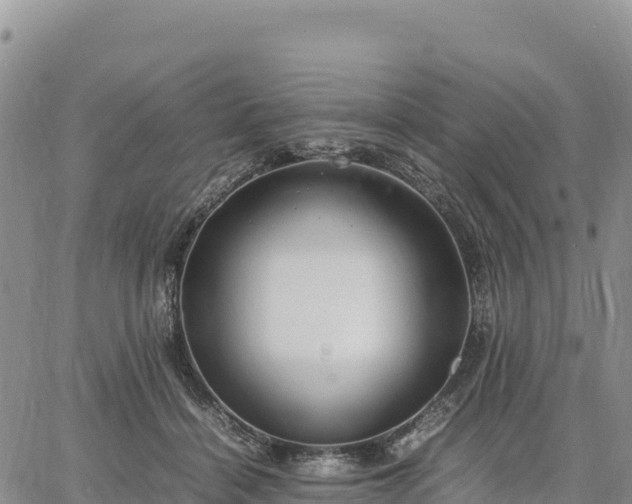 X0000064770460200602171829