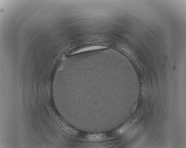 X0000064770461200602171829