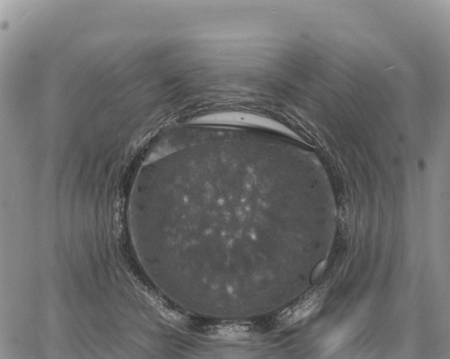 X0000064770462200602171829