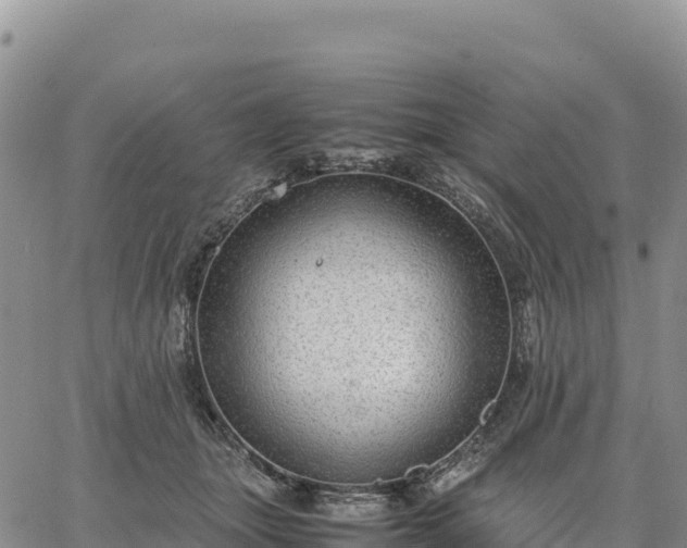 X0000064770463200602171829