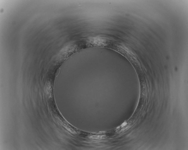 X0000064770465200602171829