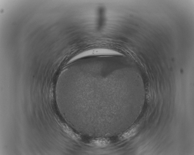 X0000064770466200602171829