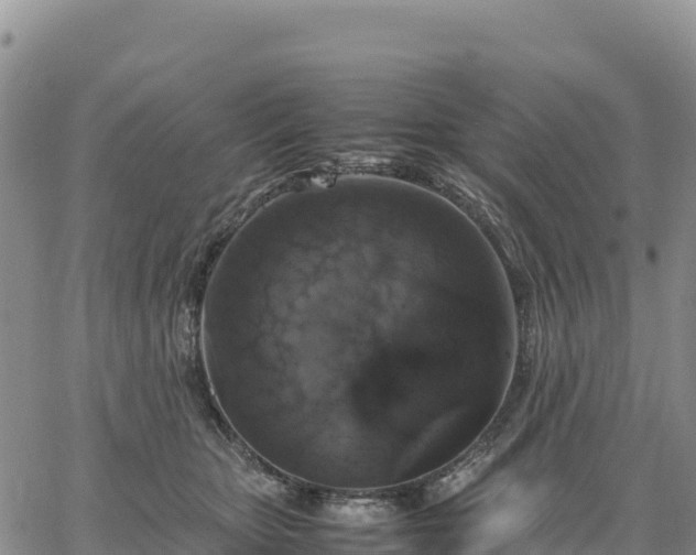 X0000064770467200602171829