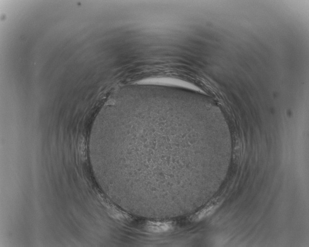 X0000064770469200602171829