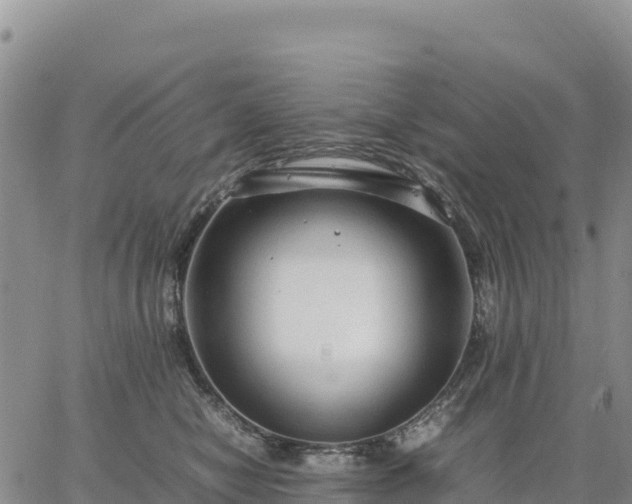 X0000064770470200602171829