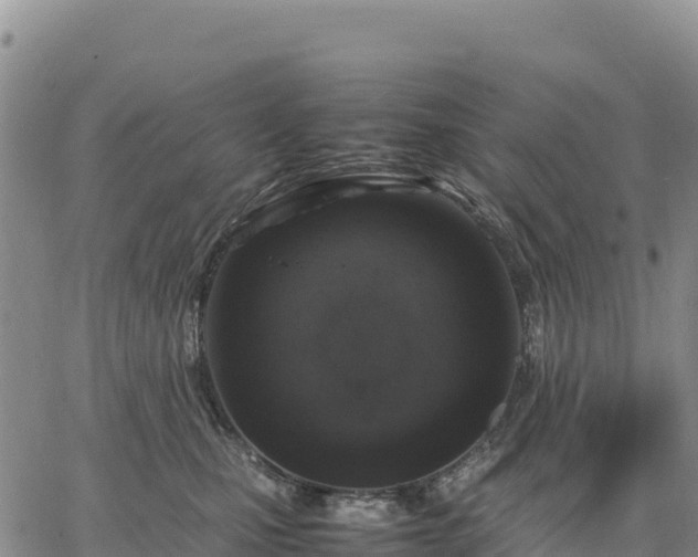 X0000064770471200602171829