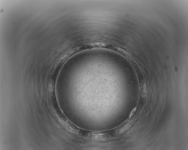 X0000064770472200602171829