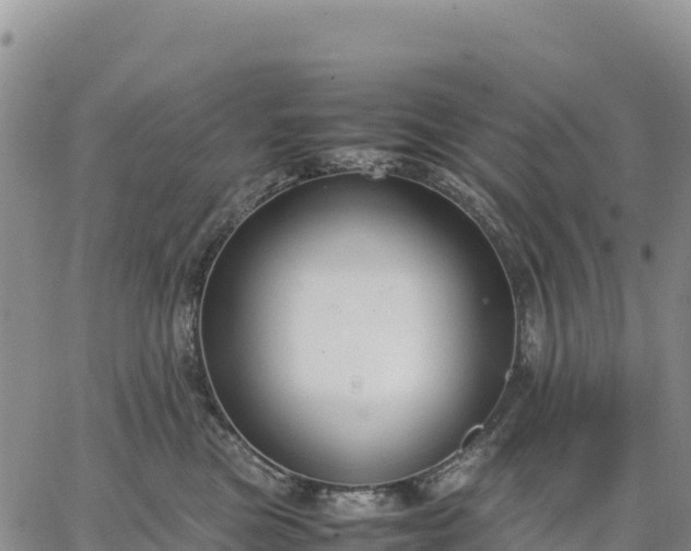 X0000064770473200602171829