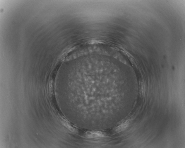 X0000064770475200602171829