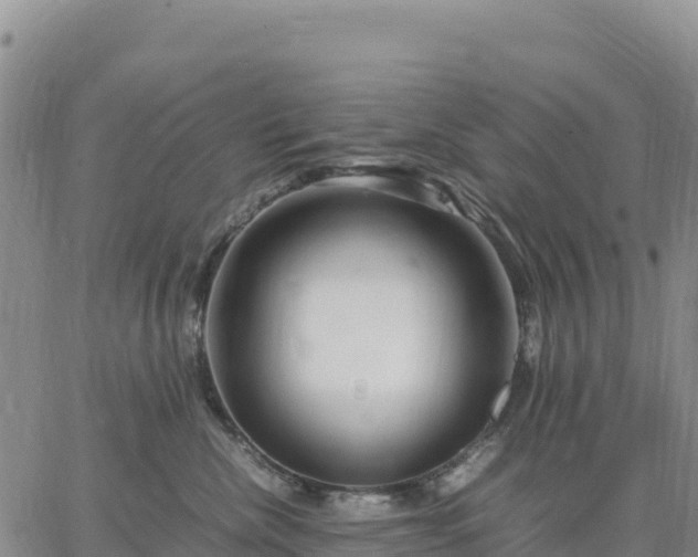 X0000064770476200602171829