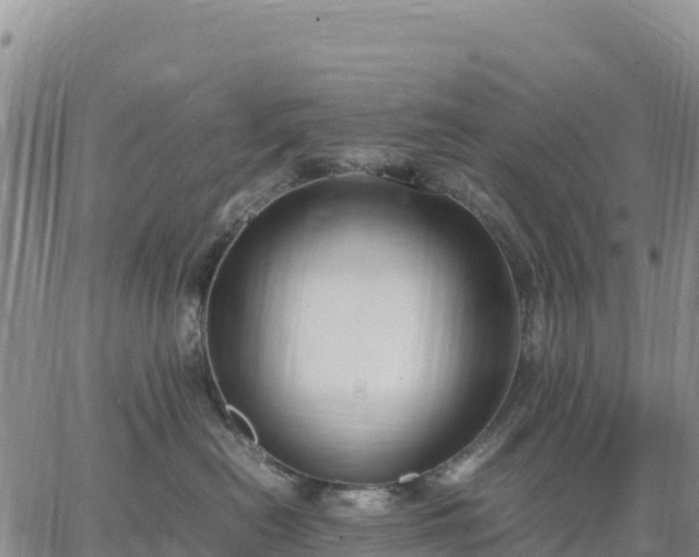 X0000064770478200602171829